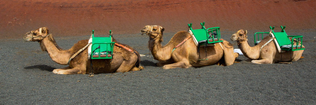 Lanzarote, tierra de volcanes